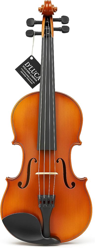 Amazon.com: D'Luca, 4 Strauss Professional Violin Outfit 4/4